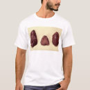 Buscar del pedernal hombre ropa Prehistórico