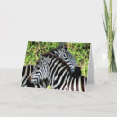 Buscar tanzania tarjetas Serengeti