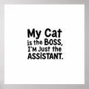 Buscar felina posters Humor