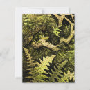 Buscar sapos postales Animales