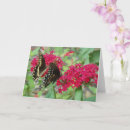 Buscar torta amarilla tarjetas General y unisex