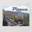 Buscar mexicano fotografía Cactus