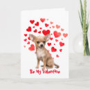 Buscar amo chihuahuas tarjetas Divertido
