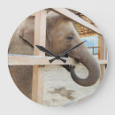 Buscar relojes de pared infantiles Safari