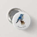 Buscar pajarita chapas Pájaro
