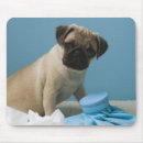 Buscar cama alfombrillas de raton Interior