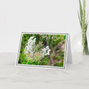 Buscar ana tarjetas Flor