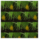 Buscar pájaros lindos telas General y unisex