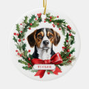 Buscar beagle adornos Nieve