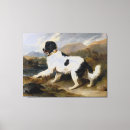 Buscar landseer lienzos Perro