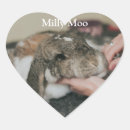 Buscar tributo pegatinas Foto