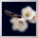 Buscar fondo rosa claro posters Flor