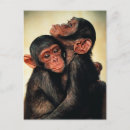 Buscar chimpancé lindo postales Primate