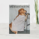 Buscar perro de presa tarjetas Perros
