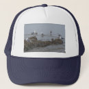 Buscar gaviotas gorras Playa