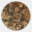 Buscar hierbas y especias pegatinas Alimento