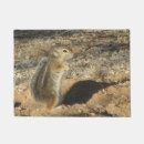 Buscar ardilla felpudos Linda