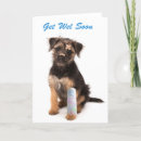 Buscar border terrier tarjetas General y unisex