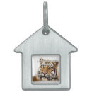 Buscar tigre collares Para mascotas