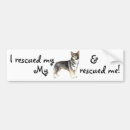 Buscar sueco pegatinas parachoque Vallhund