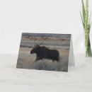 Buscar toros tarjetas Para él