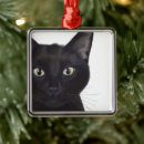 Buscar gatos negros adornos Steampunk