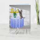 Buscar gato amarillo tarjetas Para todos