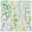 Buscar hierba manualidades Para todos