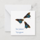 Buscar swallowtail negro Jardín