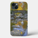 Buscar roca ipad fundas Paisaje
