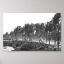 Buscar hamacas posters Palmeras