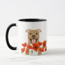 Buscar pit bull tazas Perro