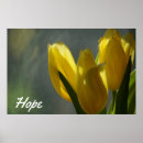 Buscar tulipanes amarillos posters General y unisex