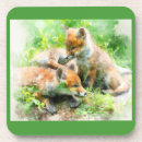 Buscar zorro posavasos General y unisex