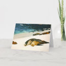 Buscar siesta tarjetas Playa