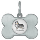 Buscar collies ásperos Perros