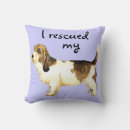 Buscar vendeen casa hogar Petit basset griffon vendeen