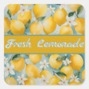 Buscar lemonade pegatinas Limonada