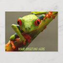 Buscar ranas coloridas postales Amante de las ranas