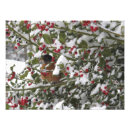 Buscar acebo fotografía Invierno