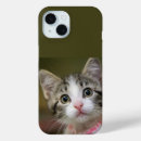 Buscar ojos lindos iphone fundas Gatito