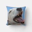Buscar greyhound cojines Divertido