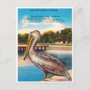 Buscar pelícano postales Viajar