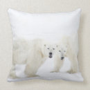 Buscar osos polares cojines Animales