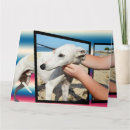 Buscar galgo tarjetas Capilla