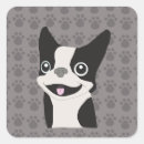 Buscar boston terrier pegatinas Perro lindo