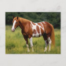 Buscar pintura del caballo postales Equino