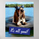 Buscar sunglass posters Humor