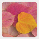 Buscar redbud postales Hoja