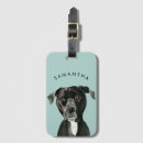 Buscar de encargo del perro Para todos